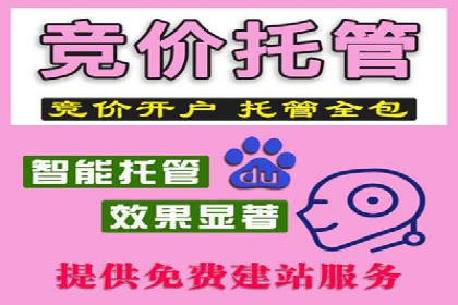 百度推广优化案例解析，助力企业提升营销效果